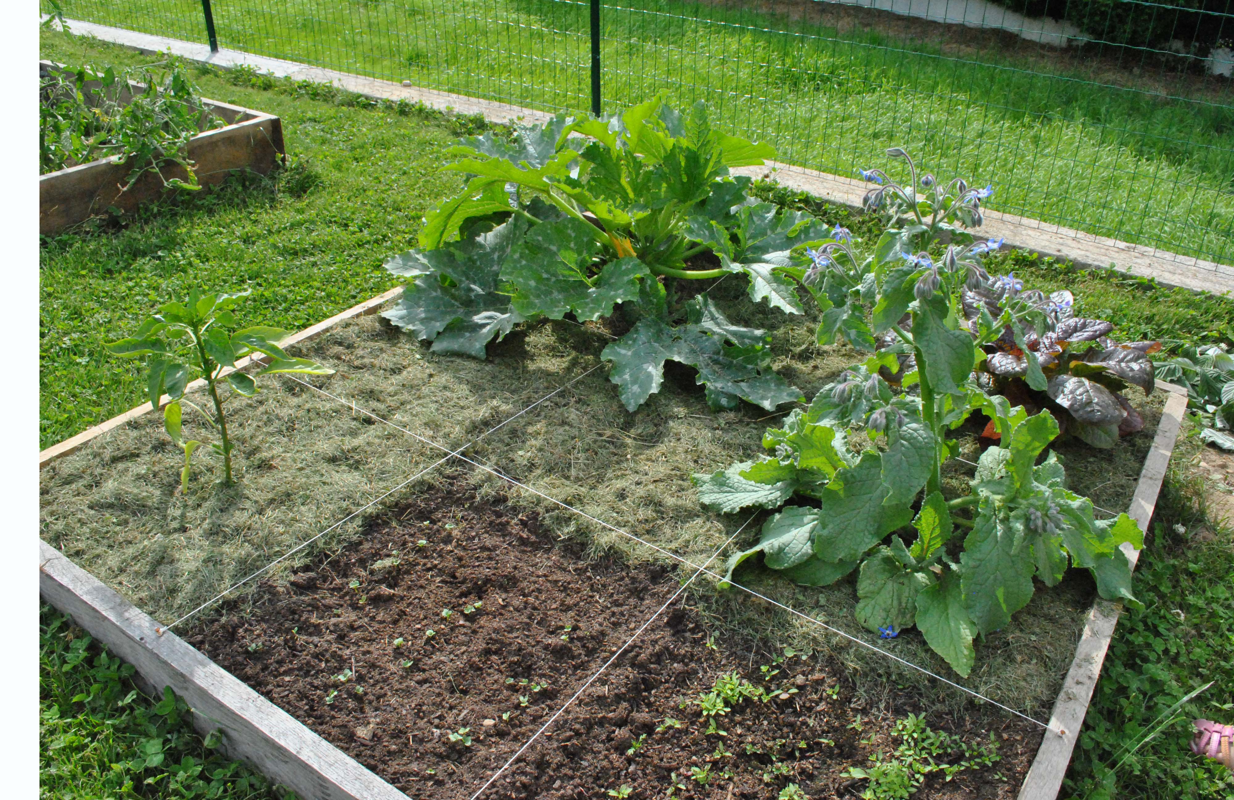Apprendre A Faire Un Potager Faire un potager : les 4 étapes à suivre - Jardindeco